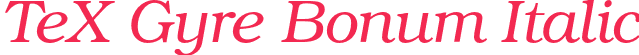 TeX Gyre Bonum Italic